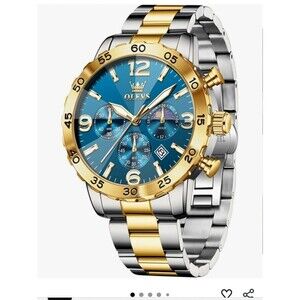 Olevs Man's Luxury Wrist Watch